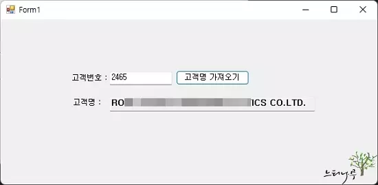 C#에서 SAP RFC Function(BAPI Function)을 사용하는 예제 - 실행 화면