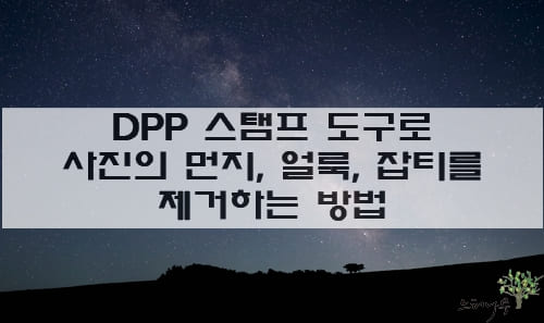 Read more about the article DPP의 스탬프 도구로 사진의 먼지, 얼룩, 잡티를 제거하는 방법