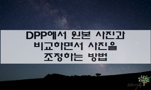 Read more about the article DPP에서 원본 사진과 비교하면서 사진을 조정하는 방법