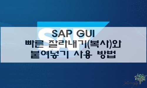 Read more about the article SAP GUI에서 빠른 잘라내기(복사)와 붙여넣기 사용 방법