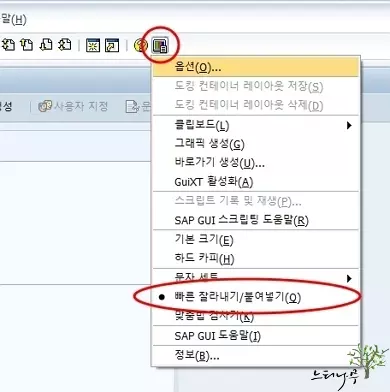 SAP GUI 빠른 잘라내기/붙여넣기 활성화 하는 방법