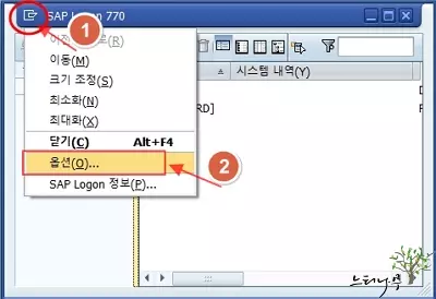 SAP GUI 비주얼 디자인의 테마 설정 방법 1