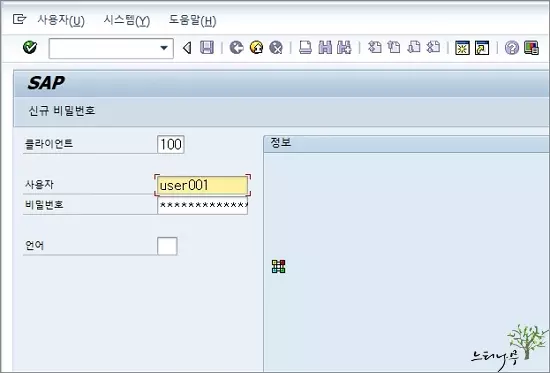 SAP 로그온(Logging On) 화면 설명