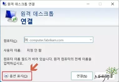 원격 데스크톱 연결 복사 붙여넣기 - 옵션 표시
