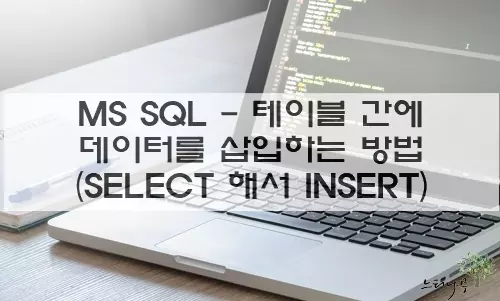 Read more about the article MS SQL 테이블 간에 복사 방법 및 데이터 복사 또는 구조만 복사 방법