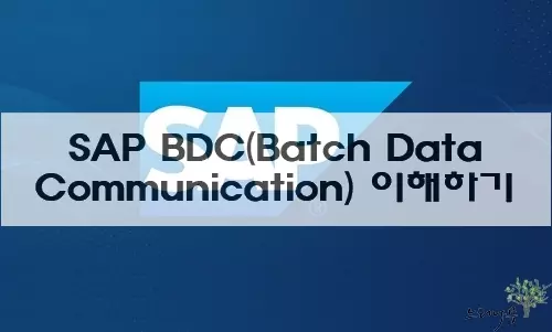 SAP BDC(Batch Data Communication, Batch Input) 이해하기