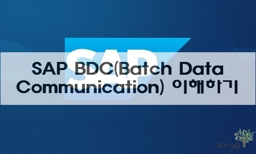 Read more about the article SAP BDC(Batch Data Communication, Batch Input) 이해하기