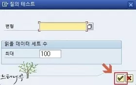 SAP Query 질의 생성하기 - 실행화면 변형