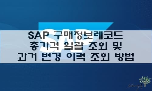 Read more about the article SAP 구매정보레코드의 총가격을 일괄 조회 및 과거 변경 이력을 조회하는 방법