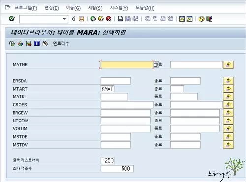 SE16(데이터브라우저)에서 테이블의 데이터를 조회하기 위한 선택화면