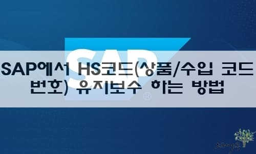 Read more about the article SAP에서 HS코드(상품/수입 코드번호)를 유지보수 하는 방법