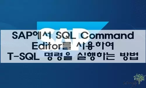 Read more about the article SAP에서 SQL Command Editor를 사용하여 T-SQL 명령을 실행하는 방법