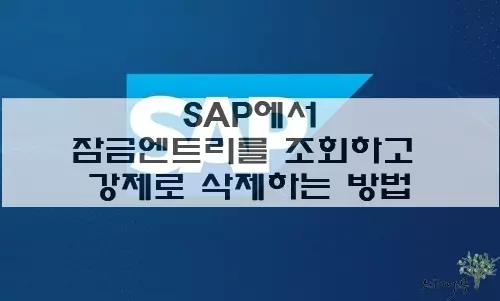 Read more about the article SAP에서 잠금엔트리를 조회하는 방법과 잠금엔트리를 강제로 삭제하는 방법