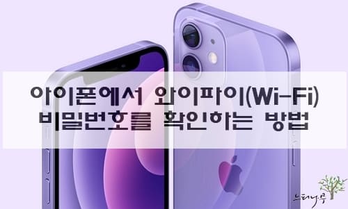 Read more about the article 아이폰에서 와이파이(Wi-Fi) 비밀번호를 확인하는 방법