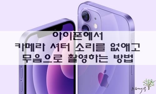 Read more about the article 아이폰에서 카메라 셔터 소리를 없애고 무음 촬영 하는 방법