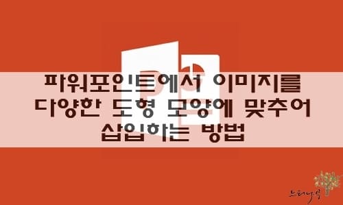 Read more about the article 파워포인트에서 이미지를 다양한 도형 모양에 맞추어 삽입하는 방법