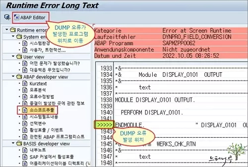 ABAP Rumtime Error(덤프 오류)에 대한 원인