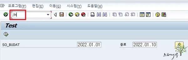 ABAP 프로그램에서 조건부 중단점(Break points)을 설정하는 방법 - 입력 필드에 /H