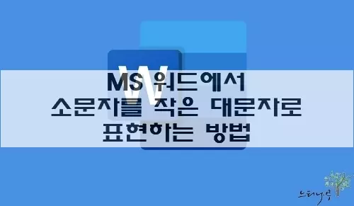 Read more about the article MS 워드에서 소문자를 작은 대문자로 표현하는 효과를 주는 방법 2가지