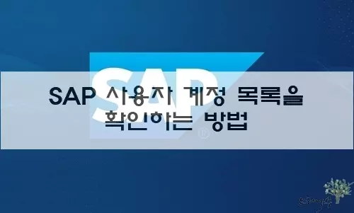 Read more about the article SAP ERP 시스템의 사용자 계정 목록을 확인하는 방법 3가지