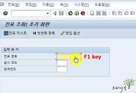 SAP에서 매개변수(Parameter) ID를 찾는 가장 쉬운 방법 소개 1