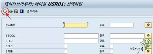 SAP ERP 시스템의 사용자 계정 목록을 확인하는 방법 - SE16에서 사용자 테이블에서 사용자 목록 가져오기2