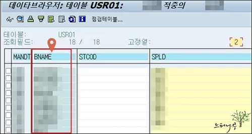 SAP ERP 시스템의 사용자 계정 목록을 확인하는 방법 - SE16에서 사용자 테이블에서 사용자 목록 가져오기3