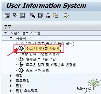 SAP ERP 시스템의 사용자 계정 목록을 확인하는 방법 - 사용자 정보 시스템(SUIM)을 이용하여 사용자 목록 가져오기1