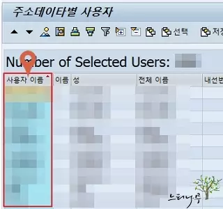 SAP ERP 시스템의 사용자 계정 목록을 확인하는 방법 - 사용자 정보 시스템(SUIM)을 이용하여 사용자 목록 가져오기3