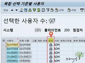 SAP 잠긴 사용자 확인 - 복합 선택 기준별 사용자에서 확인5