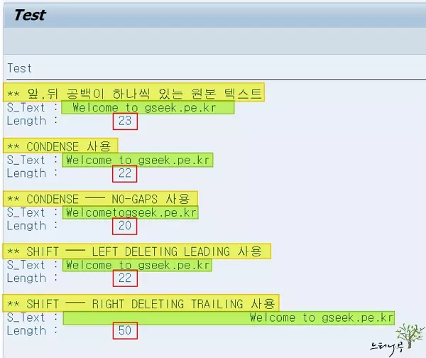 Read more about the article ABAP에서 문자열의 선행(앞) 또는 후행(뒤)의 공백을 제거 하는 방법