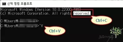 윈도우 명령 프롬프트(CMD)에서 붙여넣기(Ctrl+V)가 안될 때 해결 방법 1