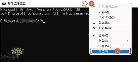 윈도우 명령 프롬프트(CMD)에서 붙여넣기(Ctrl+V)가 안될 때 해결 방법 3