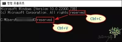 Read more about the article 윈도우 명령 프롬프트(CMD)에서 붙여넣기(Ctrl+V)가 안될 때 해결 방법