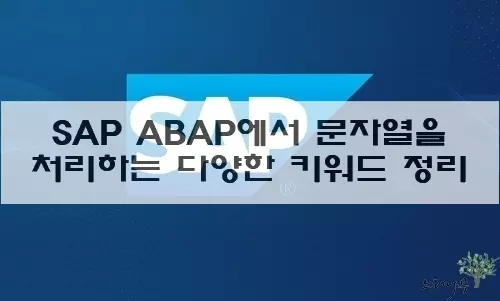 Read more about the article ABAP에서 문자열을 처리하는 다양한 키워드(Keyword) 정리 및 사용 방법 설명