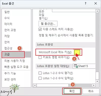 엑셀에서 슬래시(/) 입력이 안 되는 이유와 해결 방법 2가지 - Excel 옵션