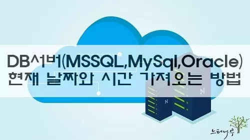 Read more about the article 데이터베이스 서버(MSSQL, MySql, Oracle)의 현재 날짜와 시간을 가져오는 방법