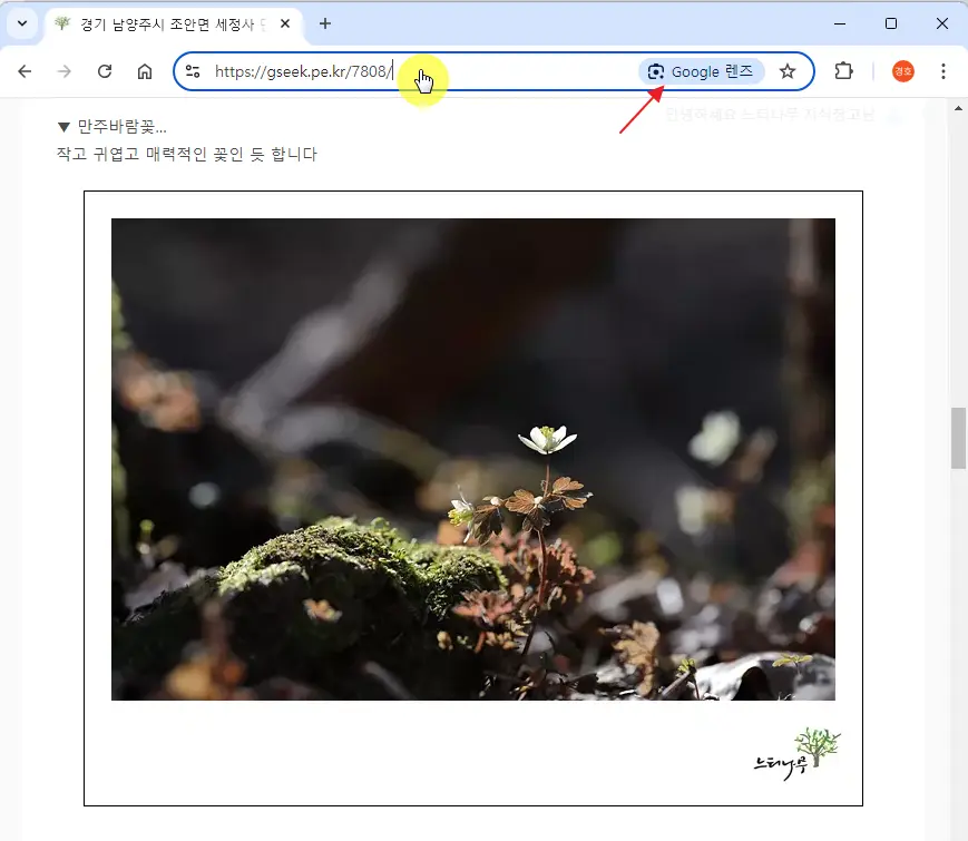 데스크톱 크롬에서 Circle to Search와 유사한 기능의 Google 렌즈 활성화 및 사용 방법 2