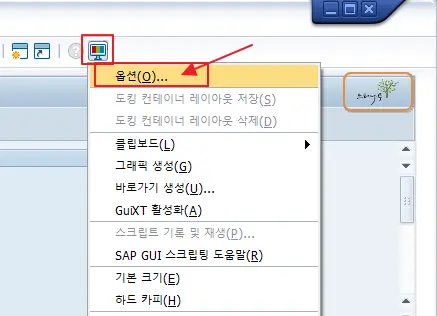 SAP GUI 타이틀 바(Title Bar)에 자체 로고를 표시하는 방법(GUI 730 버전 이상) 6