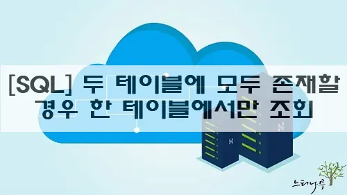 Read more about the article SQL UNION 두 테이블에 중복 데이터가 있을 경우 우선 순위 한 테이블에서 조회 방법