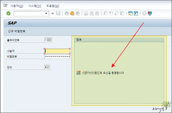 Read more about the article SAP 로그온 화면 정보(공지사항 등 설명) 내용 변경 방법